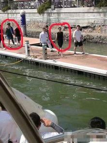 王思聪新年爆料视频在线观看,揭秘娱乐圈幕后真相